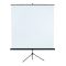 REFLECTA Hordozható Vászon, SilverLine Tripod professional 180x180cm (1:1)