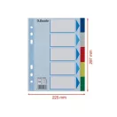 ESSELTE  Regiszter, műanyag, A5, 5 részes, színes