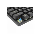 WHITE SHARK COMMANDOS ELITE mechanikus (blue switch) gamer billentyűzet (angol)