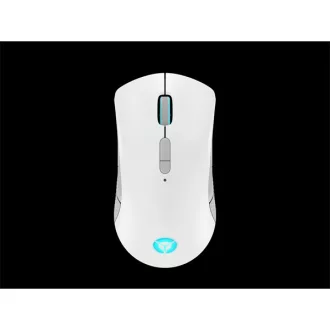 LENOVO Legion M600 Wireless Gaming Mouse (Stingray)