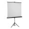 SBOX PSMT-100 állványos vetítővászon, 112"/ 180 x 180 cm