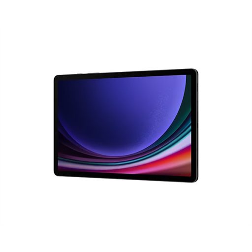 SAMSUNG Tablet Galaxy Tab S9 (Wi-Fi), 256GB/12GB, Szürke