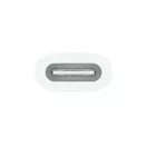 Apple USB-C to Apple Pencil Adapter