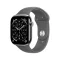 Apple Watch S11 Cellular 42mm Natural Titanium Case with Stone Grey Sport Band - M/L