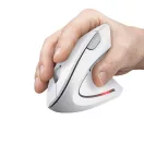 Trust 25132 VERTO WIRELESS ERGO MOUSE WHT