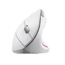 Trust 25132 VERTO WIRELESS ERGO MOUSE WHT
