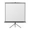 REFLECTA Vászon, Tripod CrystalLine 240x240cm, matte white (1:1)