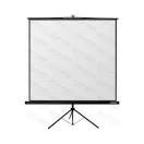 REFLECTA Vászon, Tripod CrystalLine 240x240cm, matte white (1:1)