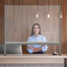 Védőfal 60x65 átlátszó  TAP6065 Franken