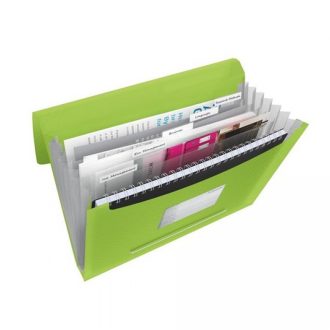   Irattartó mappa, harmonikamappa, A4, PP 6 rekeszes Esselte Vivida zöld