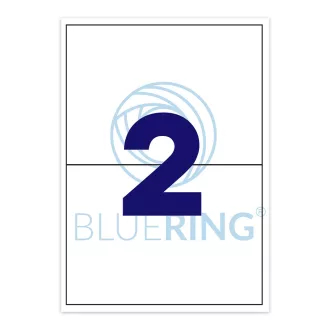 Etikett címke, 210x148mm, 100 lap, 2 címke/lap Bluering®