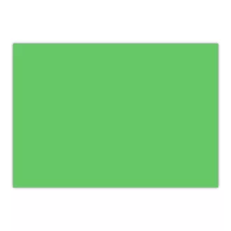   Dekor karton 2 oldalas 50x70 cm, 200g 25ív/csomag, Bluering® világoszöld