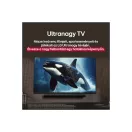 LG 75" 75UA75006LA 4K UHD AI Smart TV